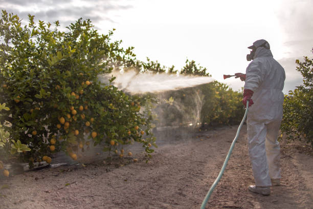 Best Flea Control Services  in Houserville, PA