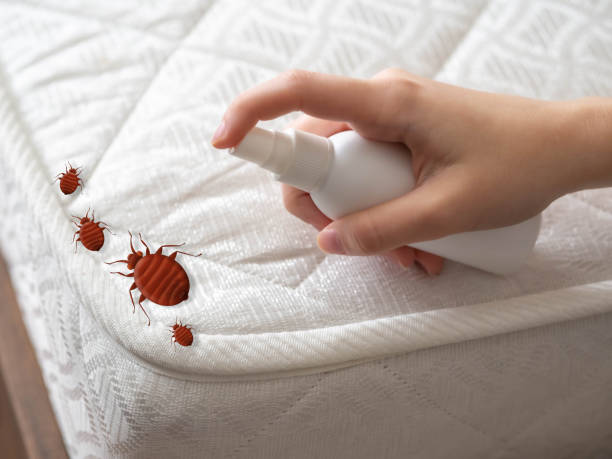 Best Pest Removal Services  in Houserville, PA