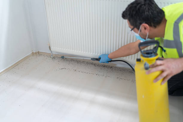 Professional Pest Control in Houserville, PA
