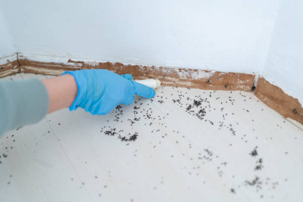 Best Pest Control Near Me  in Houserville, PA